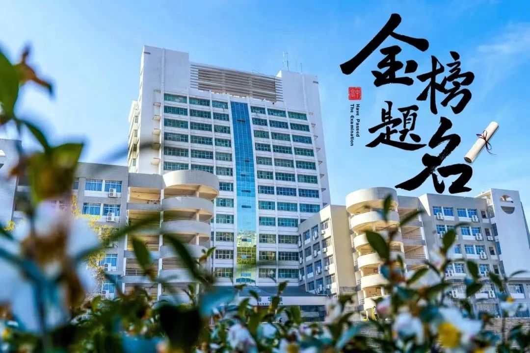 PA官方平台